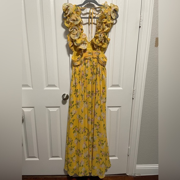 NWT ANTONIO MELANI
Manila Floral Print Rosette
Sleeveless V-Neck Maxi Dress - Picture 5 of 6